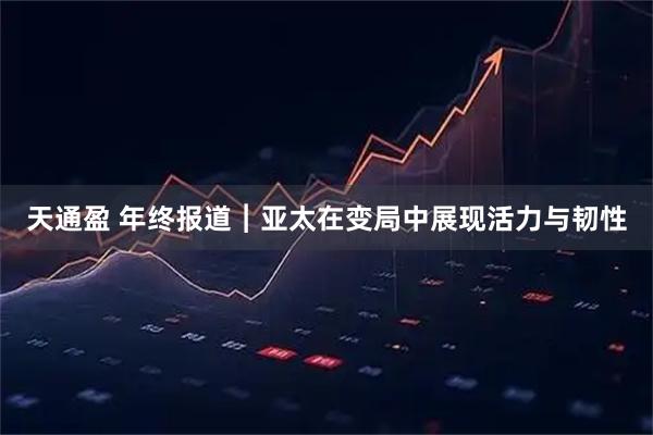 天通盈 年终报道︱亚太在变局中展现活力与韧性
