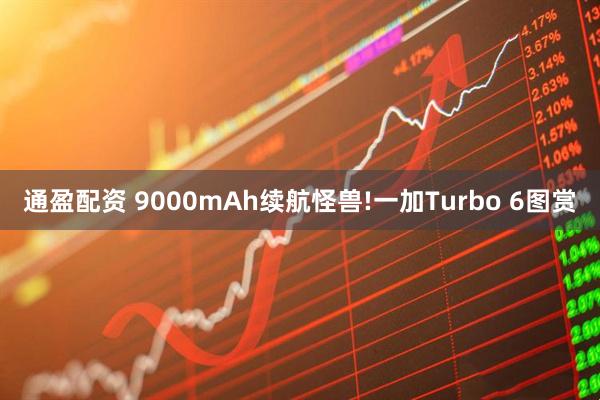 通盈配资 9000mAh续航怪兽!一加Turbo 6图赏
