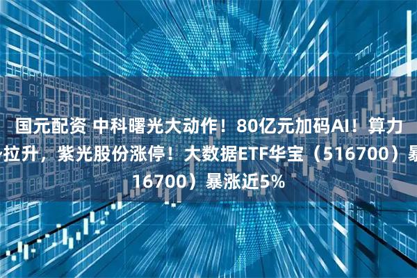 国元配资 中科曙光大动作！80亿元加码AI！算力租赁强势拉升，紫光股份涨停！大数据ETF华宝（516700）暴涨近5%